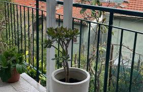 Trebiano a casa dei nonni - Foto 7