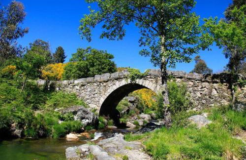 Pedacinho do Céu - Foto 29