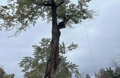 The Jailer's Cottage * Entire Home * Sleeps 12 - Foto 38