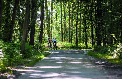 Appartementhotel Cura Bad Füssing - Foto 57