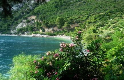 villa fairytale - Foto 79