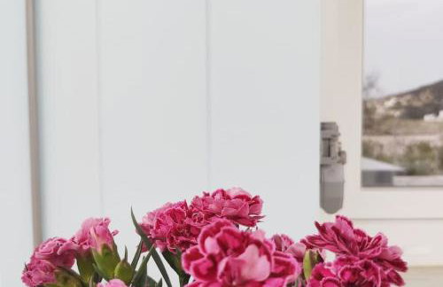 Village View House - Foto 38