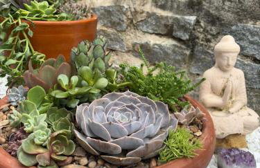 Casa da Cuca - Foto 32