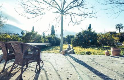 Finca Cas Sant - Foto 61