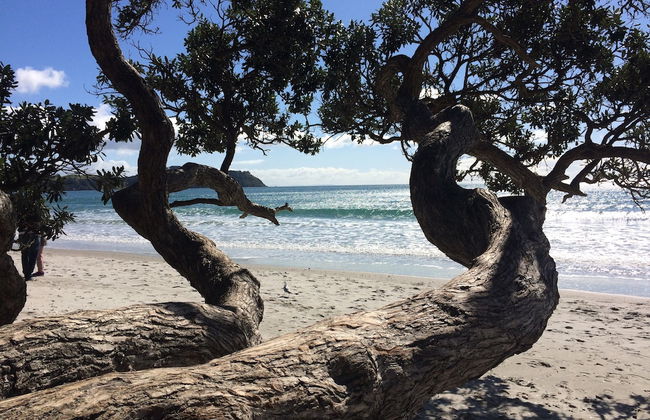 Apartment On The Beach - Photo 29