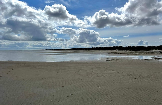 5 Star Holiday Home in Hadsund - Foto 30