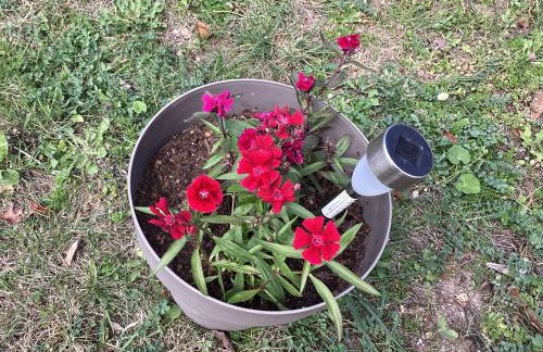 196 rue des moulins - Foto 53