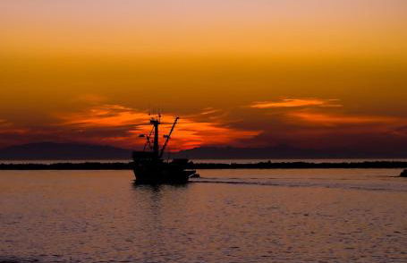 Silverstrand Beach House - Photo 36