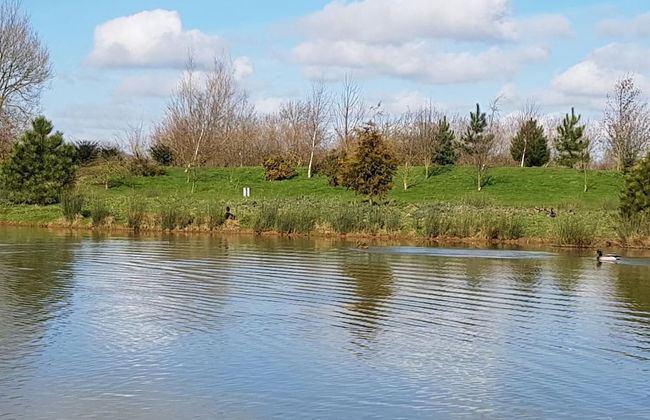 Holly Cottage - Photo 8