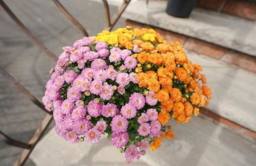 Newark Liberty Brick House - Private Bedroom 1 - Foto 42