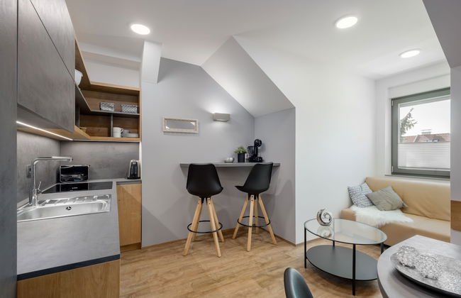 Vila Emona - Central Apartments - Free Parking - Photo 35