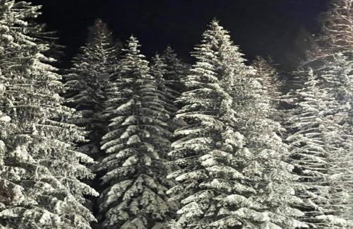 Ferienwohnung in der Nähe von Willingen - Foto 45