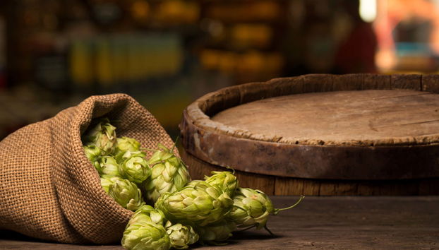 Cata de cerveza artesanal en Bratislava