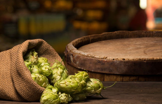 Bratislava Craft Beer Tasting - Foto 4