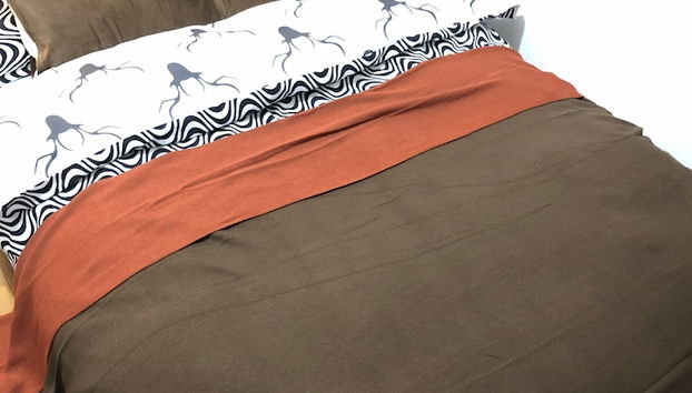 Irios 302 Susukino - Foto 4, Habitación