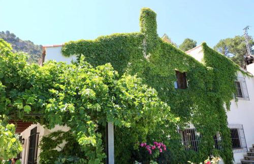 Casas Rurales Cortijo El Marqués - Foto 1