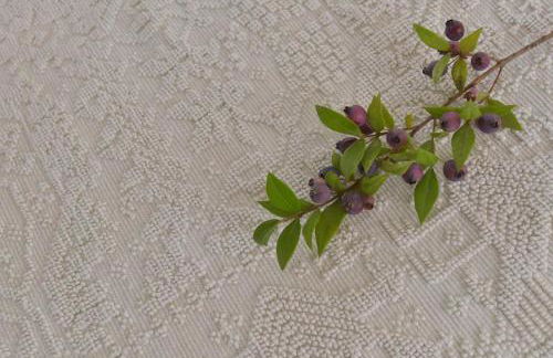 Villa Isola Bella - Vintage - Foto 20