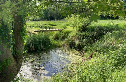 The Stable with cozy logburner - Foto 23