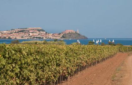 Villa Giolù - Foto 79