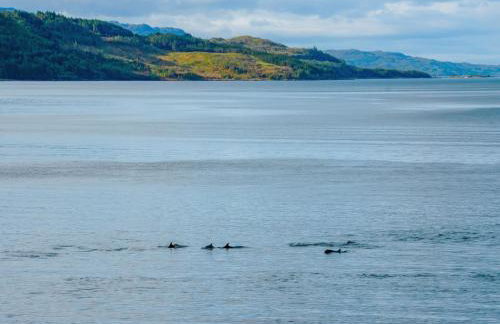 Market Stance - Photo 35