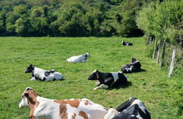 La Maison Des Caps AU BLANCNEZ - Foto 31