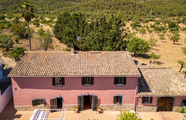 Es Muntant - Foto 37