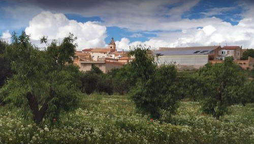 Casa Aurora, mi aldea ,entre viñas y almendros - Foto 4