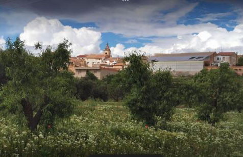 Casa Aurora, mi aldea ,entre viñas y almendros - Foto 4