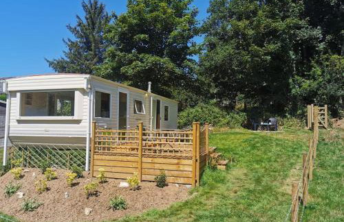 Meadow Bluebird - Foto 12