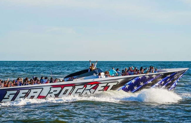 Observation de dauphins à Ocean City - Photo 3