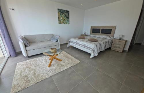 Sylvie conciergerie Exceptional house with sea view - Foto 24