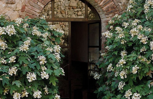 Castello Di Vicarello - Foto 2