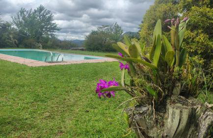 Fazenda Vista Soberba - Foto 7