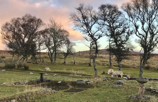 Garvault House - Photo 43