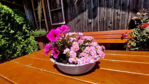 Ferienwohnung Schneckenpointner - Photo 3