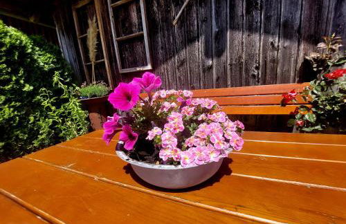 Ferienwohnung Schneckenpointner - Photo 3