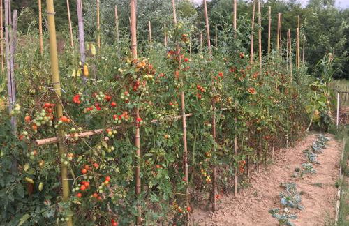 Villa Baronzola - Foto 74