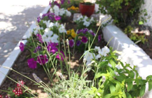 Nana's studios - Photo 37