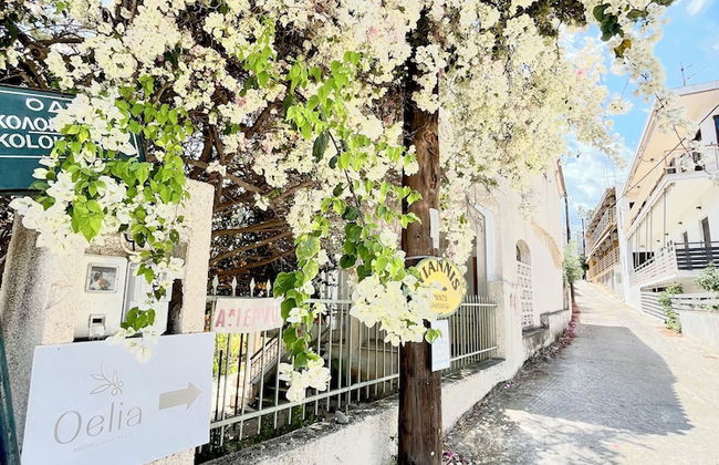 Oelia Rooms & Apartments - Foto 32