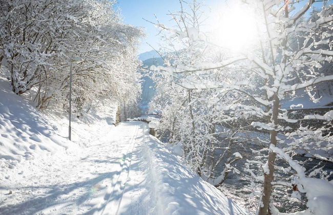 Apartment in Tschagguns Near Ski Slopes - Foto 30