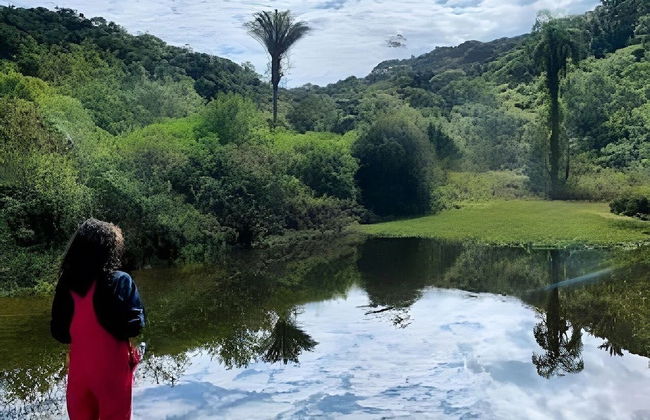 Cottages Bem-te-Vi e Beija-Flor, Mata Atlântica, Pesca, Natureza - Foto 53