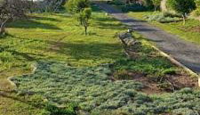 Coralia's beachfront sea view studio - Foto 5, Garden view