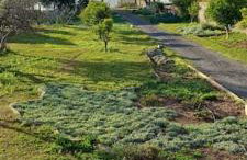 Coralia's beachfront sea view studio - Foto 5