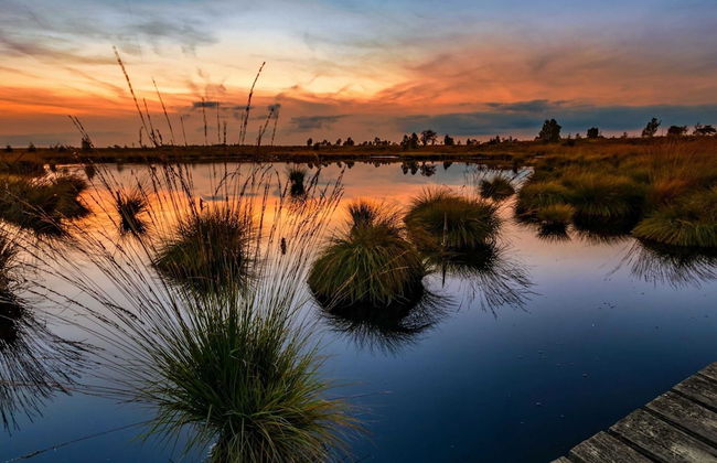 Halfway Between Near Nature Park - Foto 26