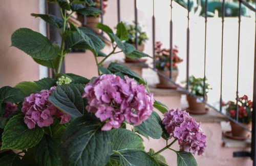 I Limoni Studios - Photo 19