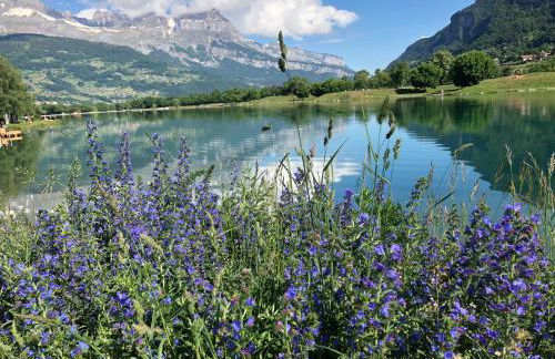 Le Moulin des Olirics - Photo 119