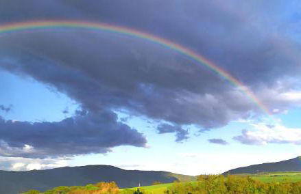 Schau-Rhein#2 - on Top of Bacharach, Rhineview - Photo 34