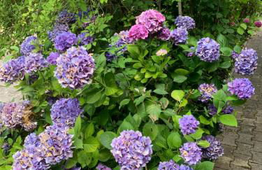 Residence Rokia - Foto 7