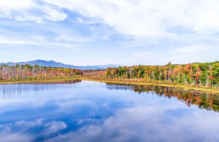 Mitten Pines Cabin Hot Tub Fire Pit - Foto 75