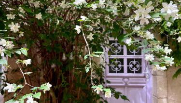 La maison Bohème - Foto 2